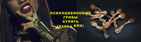 ALPHA PVP Котовск