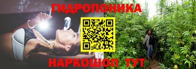 apvp Аргун