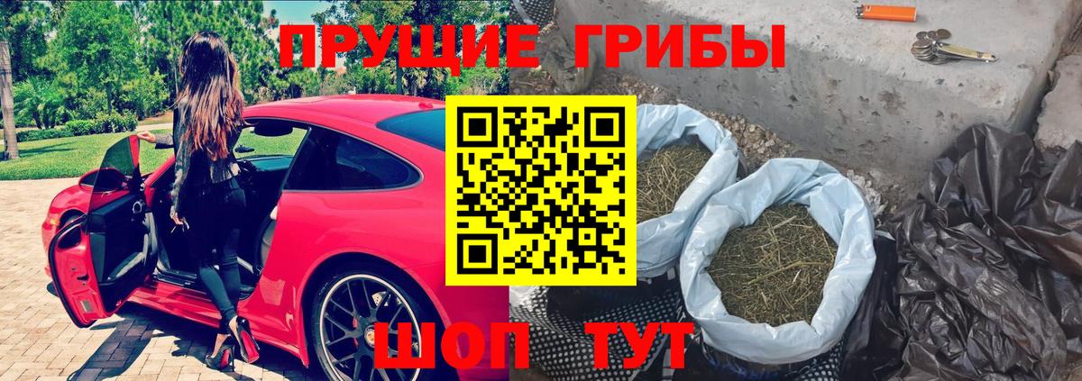 Галлюциногенные грибы MAGIC MUSHROOMS  Вход с VPN  Мурино 