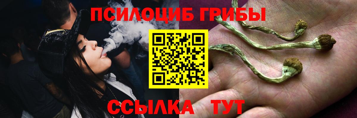 Псилоцибиновые грибы мухоморы Мурино